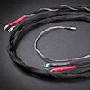Gallo OPT Cable